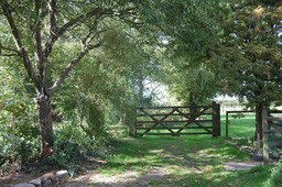 Paddocks1_small