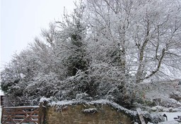The entrance in the snow !!