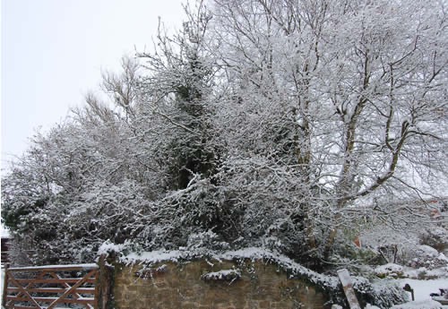The entrance in the snow !!
