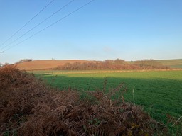 View from Humpy Bumpy